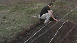 высокие грядки.  агроволокно для клубники. выпуск 15