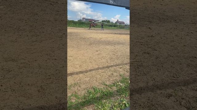 Верховая езда. Удачи в любимом деле, родная! смотреть онлайн