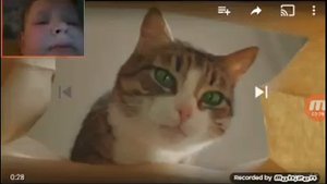 Mobizen kitekat Реклама