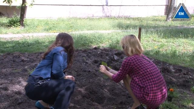 Как вырастить чернобрывцы - бархатцы 1 серия смотреть онлайн