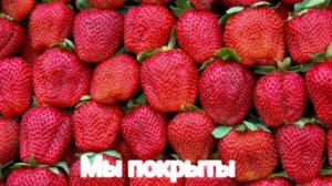 Песенка о лете караоке для детей от Кота СерыйХвост #1