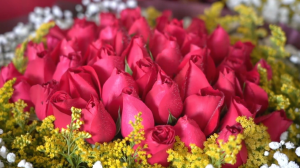 Рынок Доунань: цветочная столица Азии