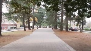Ул.Куйбышева(аллея),РУДН.Адлер.28 декабря.