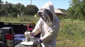 Sugar Roll for Varroa Mite Count