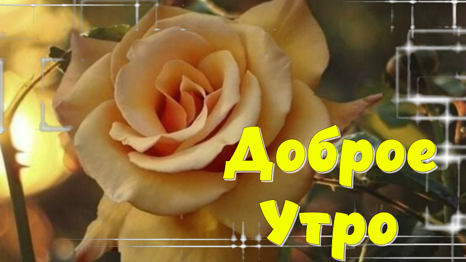 ?Шикарная Музыкальная открытка С ДОБРЫМ УТРОМ