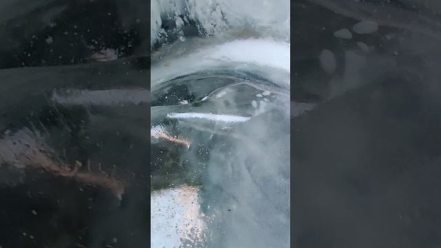 Глядя сквозь лед замерзшей горной реки