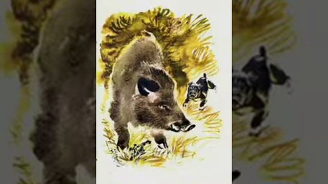 Булька и кабан смотреть онлайн