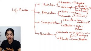 Life Processes Mind Maps | CBSE Class 10 Science (Biology) Chapter 6 | Vedantu 9 and 10 English