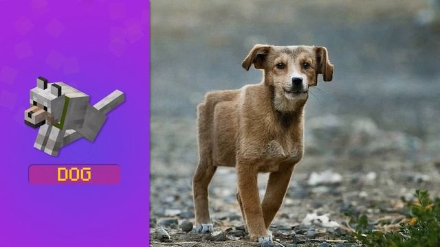 Майнкрафт в Реальной Жизни персонажи мобы  Реалистичный Майнкрафт