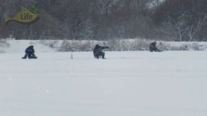 Толковое обучение ловли щуки в глухозимье! Как ловить щуку в глухозимье? Секреты щука глухозимье!