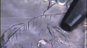 Hand engraved Prince coin crosshatch bulino practice