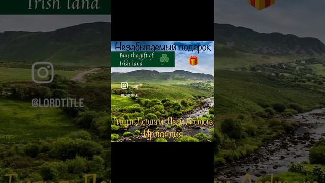 Лучший подарок 2024 (такого мир еще не видел)