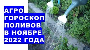 Агрогороскоп поливов растений в ноябре 2022 Агрогороскоп поливу та підживлення рослин у листопаді