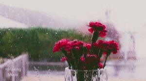 Soothing Rain Sounds ASMR. Relaxing Ambience for Deep Sleep & Calmness