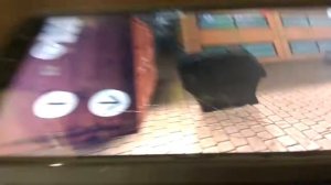 секреты extreme car driving симулятор.