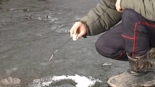 Звуковая приманка для рыбы