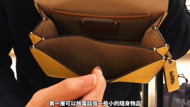 Coachbag coach willis top handler 18 四種顏色 粉筆白 土黃色 日光黃 藍鈴草 смотреть онлайн