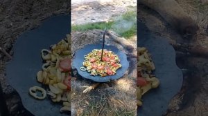 Сковорода из диска бороны, лущильник