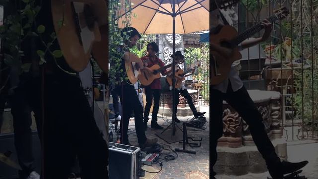 Media Luna at Paprika Restaurant July 27, 2019 9287 смотреть онлайн