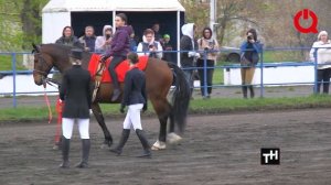 Красноярский ипподром просит помощи у краевых властей