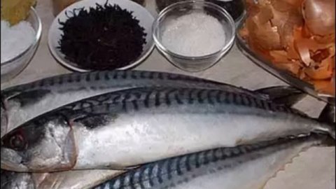 Как солить скумбрию в рассоле быстро