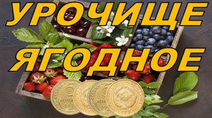 ОГО сколько МОНЕТ, ЯГОДНОЕ РАДУЕТ НАХОДКАМИ!  Монеты СССР и интересные находки! коп монет 2022 новое