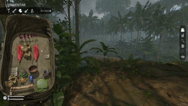 Die Höhle und ihre giftigen Bewohner! - Green Hell #05 смотреть онлайн