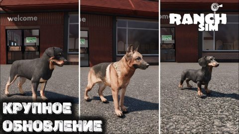 Обзор "КРУПНОГО ОБНОВЛЕНИЯ" в Ranch Simulator