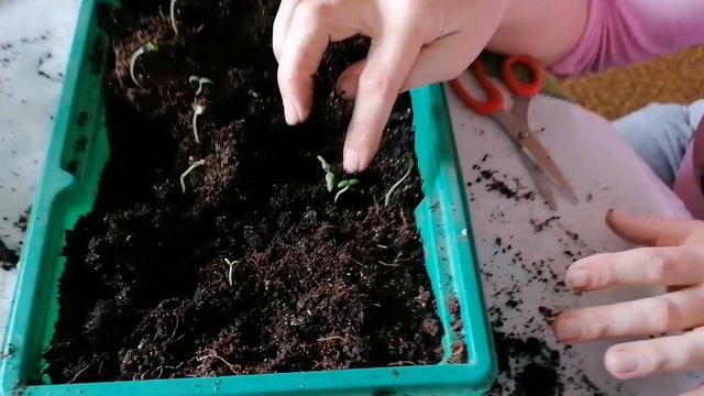 Мы познакомились на горшке в детском садике? За 700 рублей я сам помою?#деревенскийтренд
