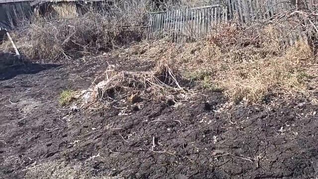 Жизнь в деревне бьёт ключом//