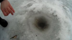 Река Дон! ЗИМНЯЯ рыбалка на ДОНКИ(кресты) в ОТТЕПЕЛЬ!