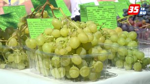 В Вологодском районе прошла дегустация разных сортов винограда