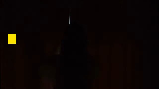 DEVELOP A STRONG MIND | Tony Robbins, John Maxwell, Patrick Bet David 2021 смотреть онлайн