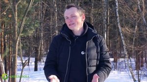 Когда лучше укладывать рулонный газон и когда его заказывать