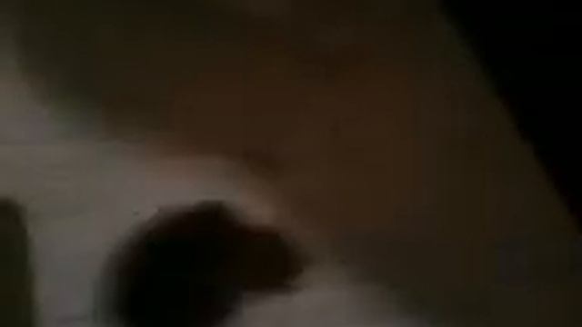 Камень пыли! смотреть онлайн