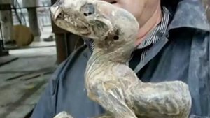 Встреча человека с настоящим монстром