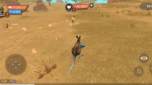 ОБНОВЛЕНИЕ В WILDCRAFT! | Добавили кенгуру? | Обзор