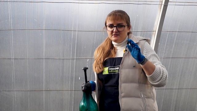Подготовка теплицы к следующему сезону. Обработка от болезней. Лучшее средство для дезинфекции.