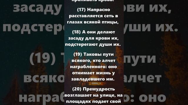 Притчи Соломона 1 Глава | Сказки Суламифь смотреть онлайн