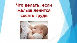 Кормление грудью ЧТО ДЕЛАТЬ ЕСЛИ МАЛЫШ ЛЕНИТСЯ СОСАТЬ ГРУДЬ