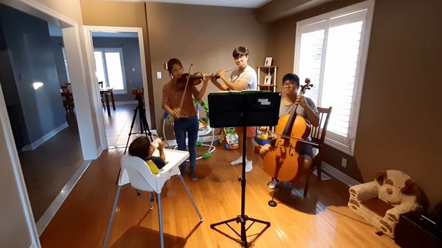 Love Me Tender - Trio Performance For A Baby (Flute, Violin and Cello Arrangement) смотреть онлайн