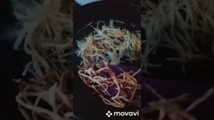 салат с капусты, кукурузы и картофель пай.