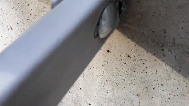 забор своими руками смотреть онлайн