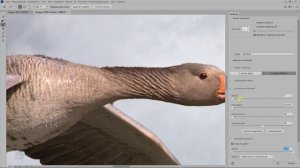 Команда «Выделение и маска» в фотошопе