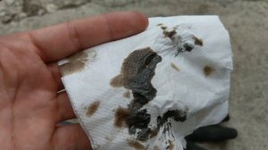 Что поймала магнитная пробка картера до и после промывочного масла