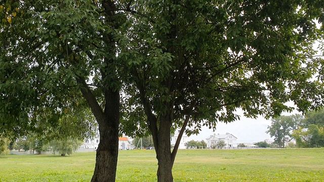 Обзор влогов \ Семья в городе Life \ Елена Ильичева \ "Супер" Рум-Тур Кухни