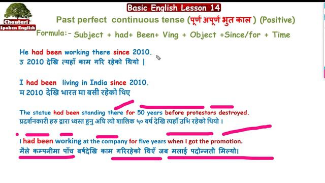 Basic English Lesson 14  Past Perfect Continuous Tense  in Nepali Learn English in Nepali