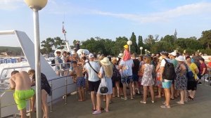 ДИВНОМОРСКОЕ ?ВОЛНОРЕЗ ?ДЕЛЬФИН.#дивноморское#краснодарскийкрай