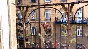 Обзор 4 комнатной квартиры СПб, Лиговский пр.44