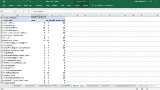 EXCEL: Pivot table - How to rename the column fields in Pivot tables in excel using PivotTable tool